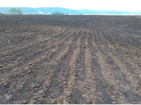 专家指导科研协作