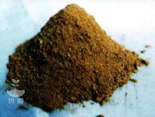 碧源牌泥炭是专业基质的原料
