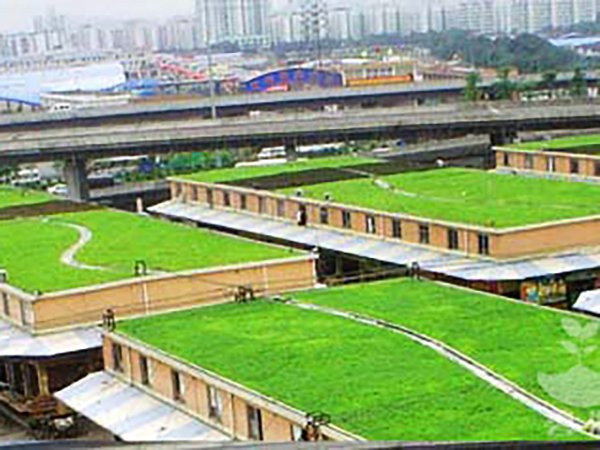 怎样选择育苗基质