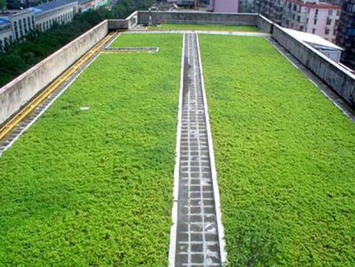 6屋顶花园轻质土