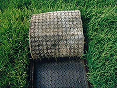 4水稻育苗专用基质