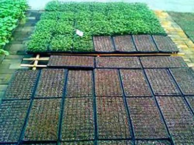 8使用方法简便，应用效果好