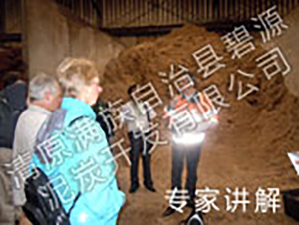 2外国专家指导