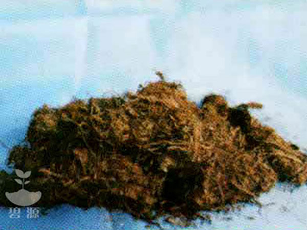 4纤维状